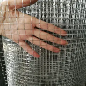 Wire Mesh 1 mm x 1 mm x 1 mtr x 2'