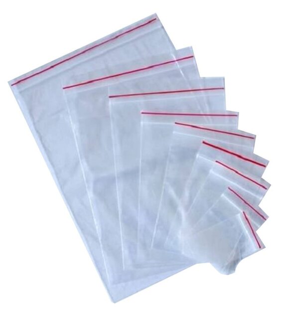 Plastic Bag No.2 10 1/2" x5 1/2"