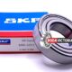 6005 ZZ C3 SKF Bearing