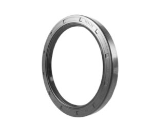 Oil Seal 100*120*12mm B Viton
