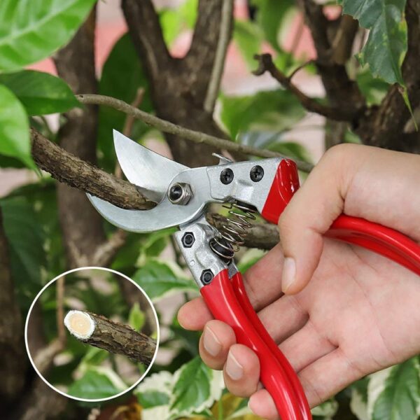 Garden Scissor Long Pruner