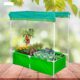 Garden Plant PVC Bag