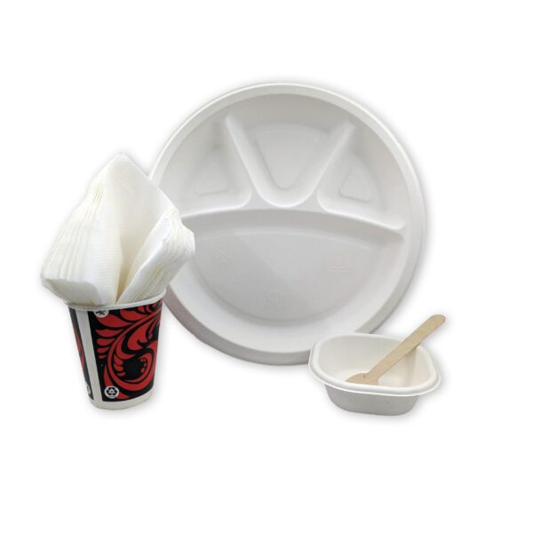 Biodegradable Paper Dish+Spoon+Tissue Paper