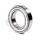SKF Bearing 6007/ZZC3