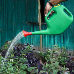 Garden Watering Can 5Ltr
