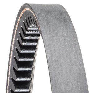 Ribbon Belt (770J-1956-J-6 )