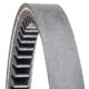 Ribbon Belt (770J-1956-J-6 )