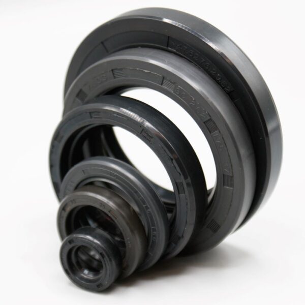 Oil Seal 70*100*10mm