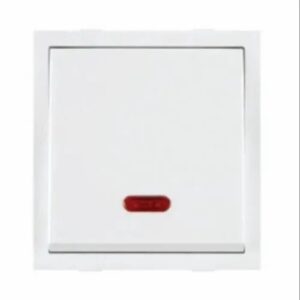 Roma Switch 20amp With Indica