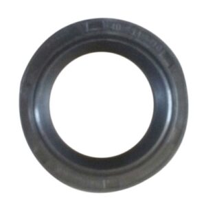 Oil Seal 40*55*10mm