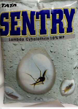 Sentry 62.5GM Tata