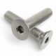 CSK Allen Bolt S.S M10*30