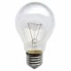 Bulb 100 Watt