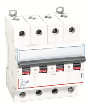 Legrand Make 100Amp MCB