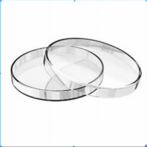 Perti dish 2"