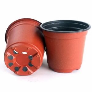 Garden Kundi 12"