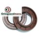 Oil Seal 15*24*7mm (Viton)