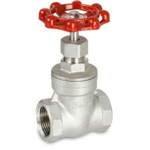 Racer SS 30 H 1/C GATE Valve 1/1.2" BSP