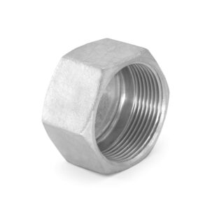 S.S 304 Hex Cap