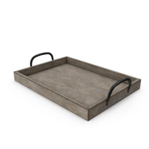 Big Tray
