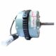 Water Cooler Motor